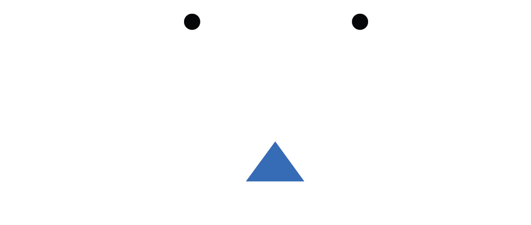 BVS Technology